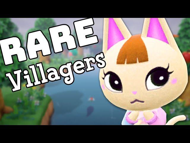 How Rare is your Dreamie? | Animal Crossing New Horizons