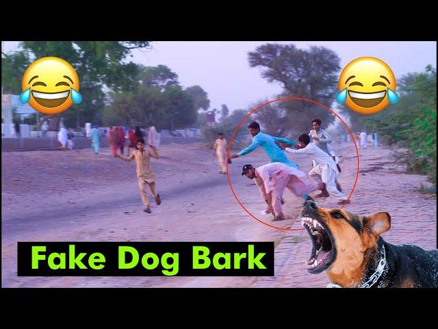  Fake Dog Bark Funny Video  - Fake Dog Prank Video - Aftab Tufail #dogprank