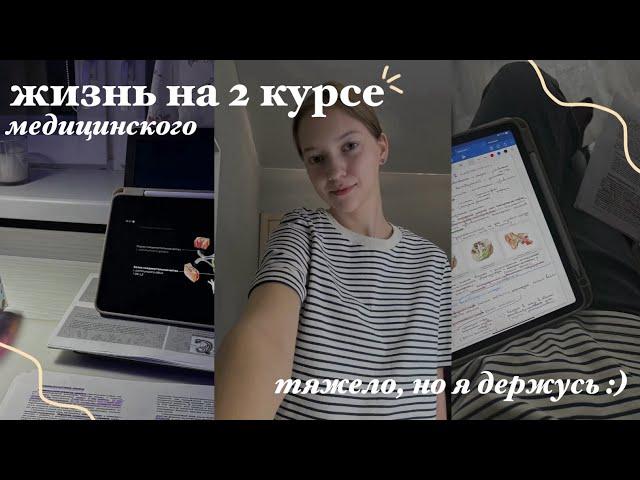 КАК Я УЧУСЬ (выживаю) НА 2 курсе меда??? || ГДЕ ВЗЯТЬ СИЛ???