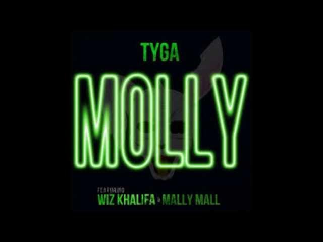 Molly - Tyga (Clean)