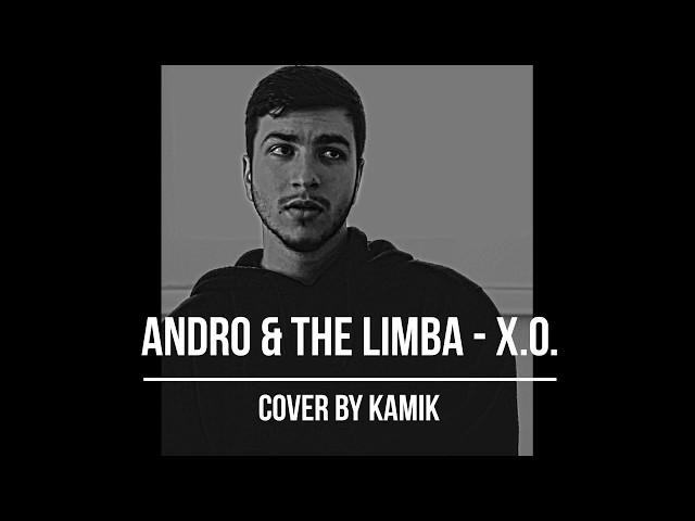 Andro & The Limba - X.O. (cover by kamik)