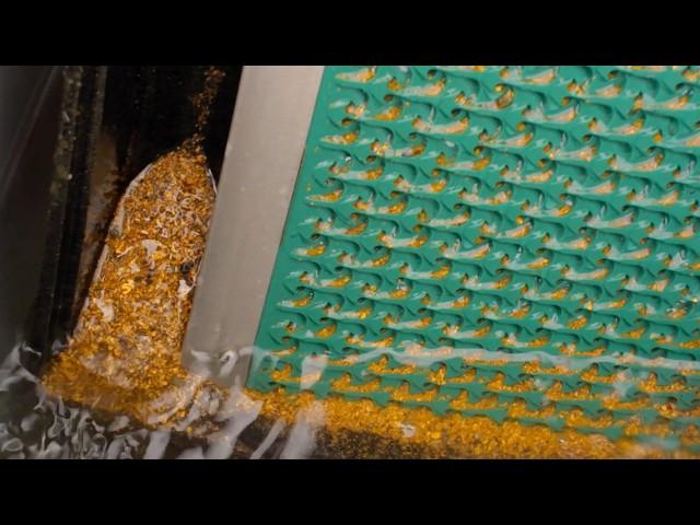 This is the hottest gold I've ever seen in the Bering Sea | INCREDIBLE 1-DAY CLEANUP