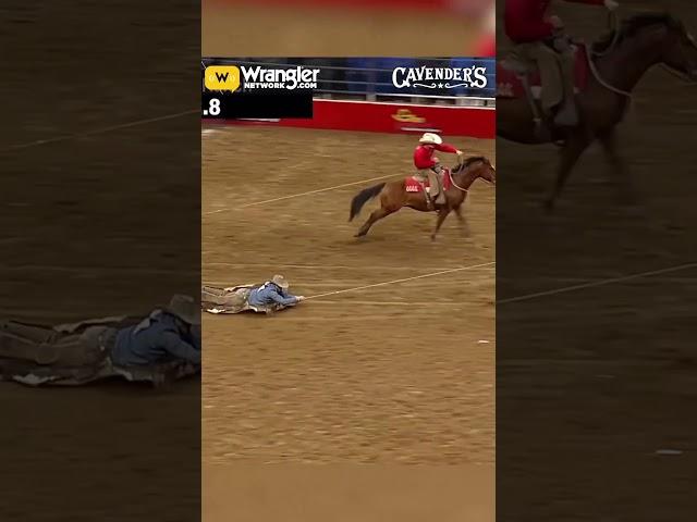 WILD! Cowboys dragging across the dirt at a rodeo. #cowboy #horse #rodeo