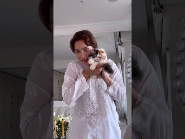 Ankita Lokhande & Vicky Jain Welcome Their NEW Family Member  | #shorts #pets