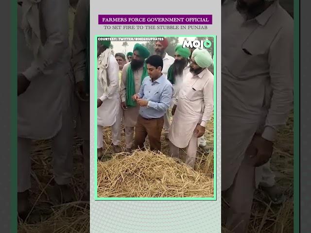 Farmers Force Govt Official Who Came To Stop Stubble Burning To Set Paddy Straw On Fire In Punjab