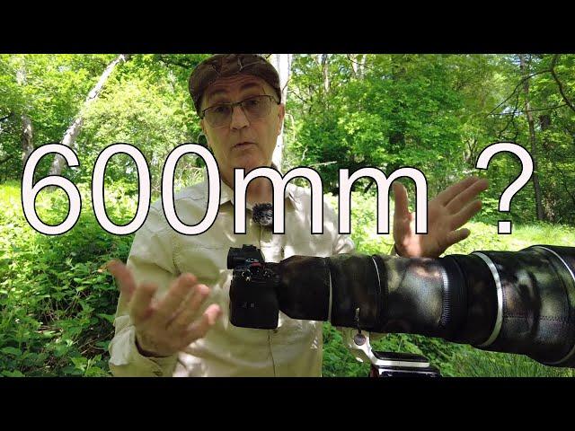 Is it worth buying a 600mm f4 lens for your wildlife photography? by "Camilla & I"