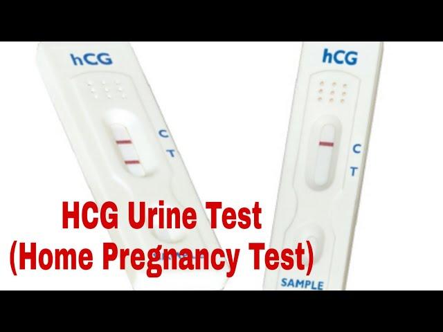 Home pregnancy test using HCG Urine Test Kit (Positive Test)