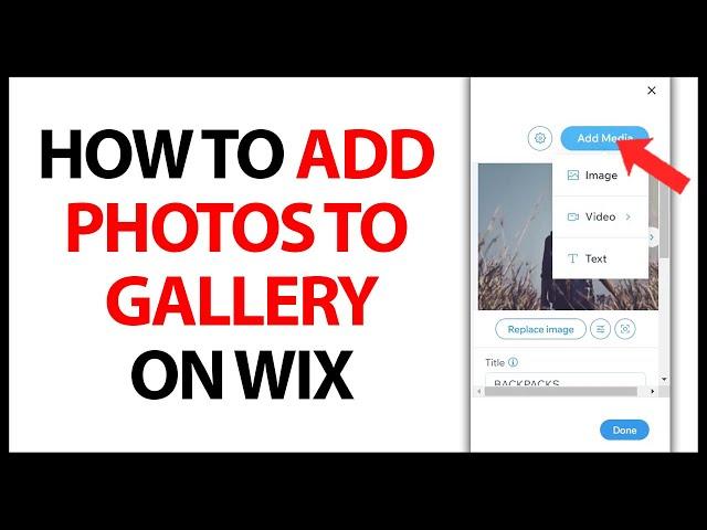 How to Add Photos to Your Gallery on Wix in 2024