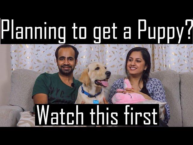 I Wish I Knew This Before Getting a Puppy | Important Things to Know (Must Watch)