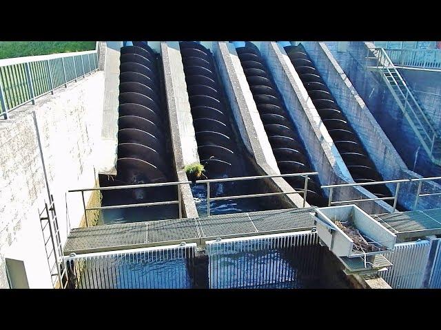 Archimedean screw water pump in action