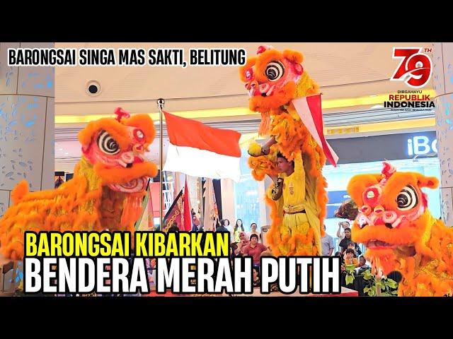  BARONGSAI KIBARKAN BENDERA MERAH PUTIH | Acrobatic lion dance 2024