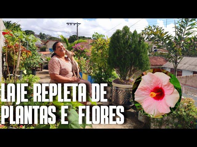 LAJE REPLETA DE PLANTAS E FLORES: UM TERRAÇO COM PLANTAS DE SOL PLENO, HIBISCO, BOUGAINVILLEA E ETC.