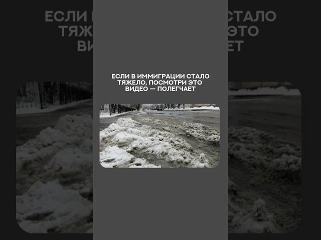 ЕСЛИ В ИММИГРАЦИИ СТАЛО ТЯЖЕЛО, ПОСМОТРИ ЭТО ВИДЕО – ПОЛЕГЧАЕТ ️ #жизньвсша #иммиграция