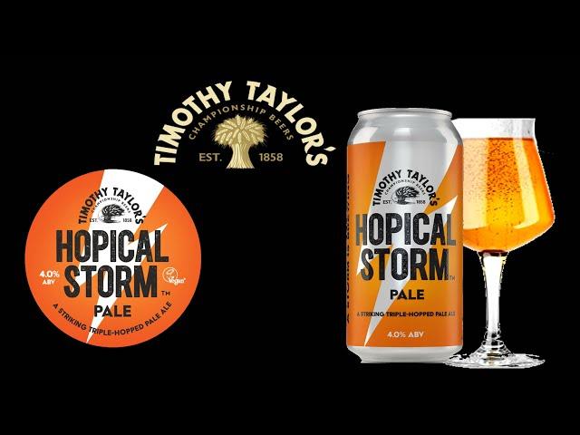 Timothy Taylor Hopical Storm