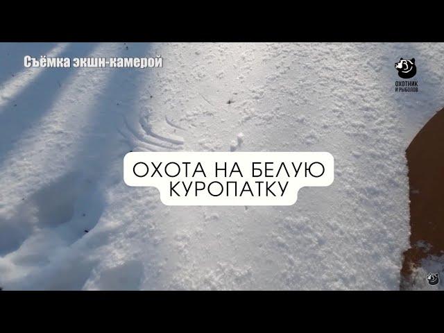 Охота на белую куропатку // В одиночку на зверя