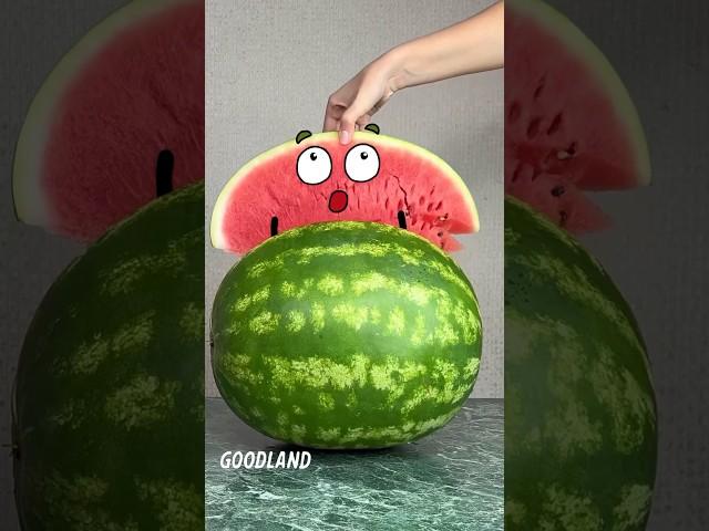 Goodland | Don't touch the watermelon  #goodland #shorts #doodles #doodlesart