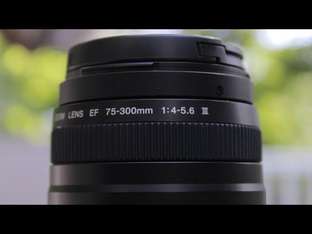 Canon 75-300mm Lens Review