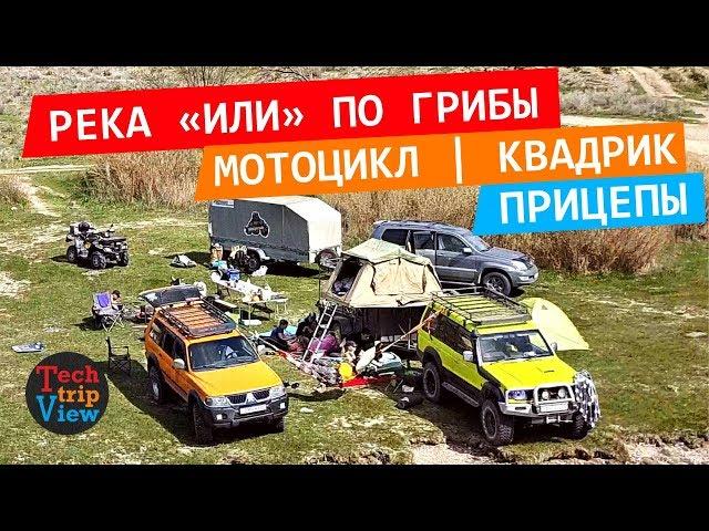 Поездка и отдых на реке "Или" по грибы. Прицепы с мотоциклом и квадроциклом. Pajero притащил всех.