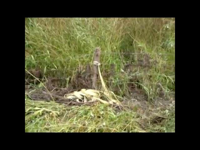 Ravenwood Acres: Flood Damaged Fence Repair