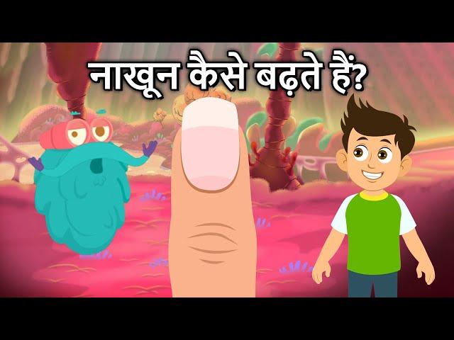 नाखून कैसे बढ़ते हैं? | How Your Nails Grow In Hindi | Dr. Binocs Show