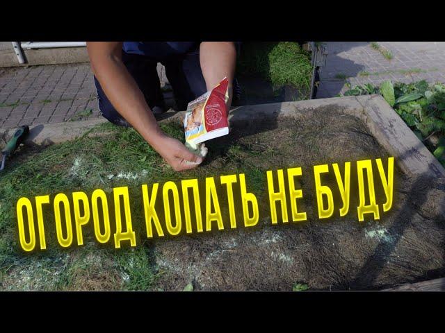 Довольно, больше копать огород я не буду