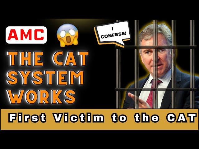 AMC The Consolidated Audit Trail CAT Has Caught Its First Criminal