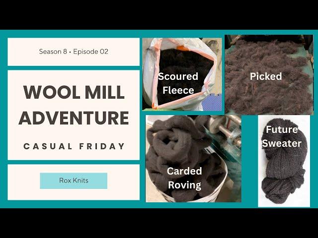 FiF 2025, a Yarn Mill, and Gifts from Viewers // Casual Friday S8E02