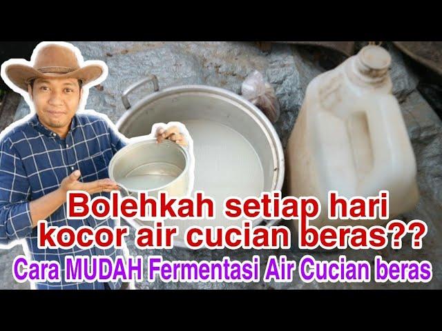 Cara penggunaan & Cara fermentasi air cucian beras