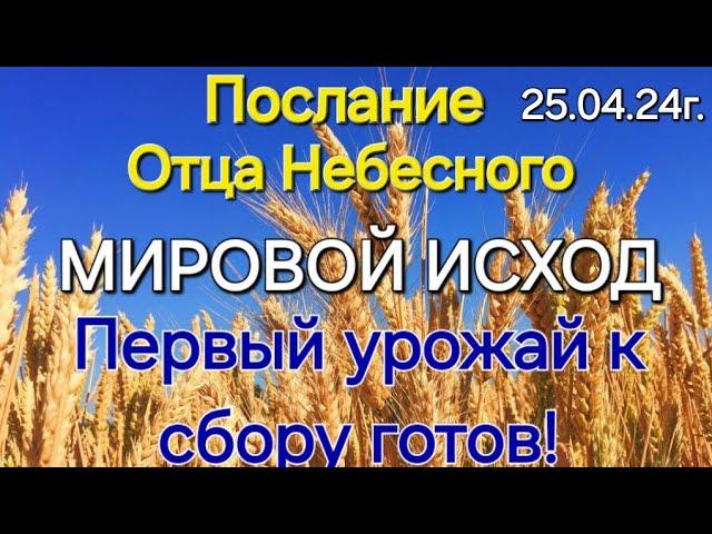 Послание Отца Небесного "Мировой исход. Первый урожай к сбору готов" 25.04.24г.Апостол Слова