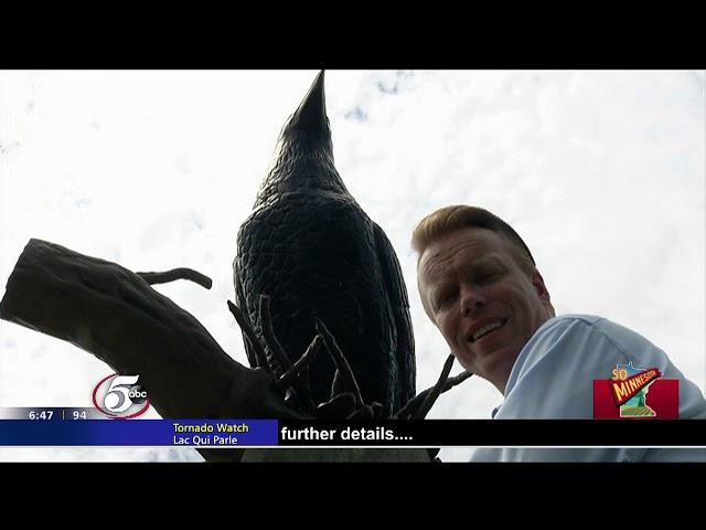 So Minnesota: Largest crow statue in the world