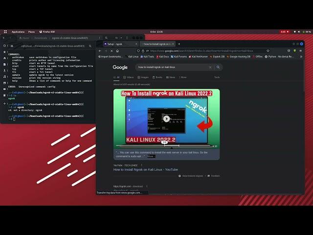 how to set up NGROK on kali linux 2022.1