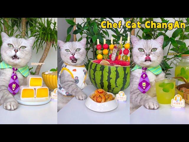 Cool Ice Cream And Drinks Await You This Summer!️ |Cat Cooking Food|Cute And Funny Cat