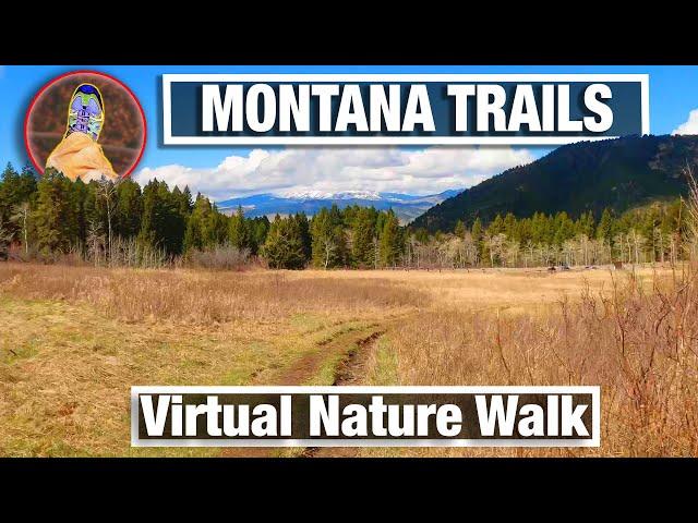 Suce Creek Trail Virtual Walk -  Virtual Walking Trails for Treadmill - Montana 4K 60p Hike