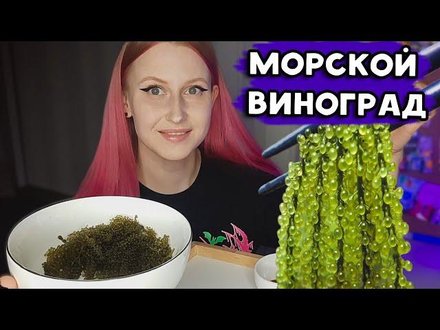 МОРСКОЙ ВИНОГРАД с Вайлдберриз | Зеленая икра или уми будо! Пробую водоросль морской виноград 