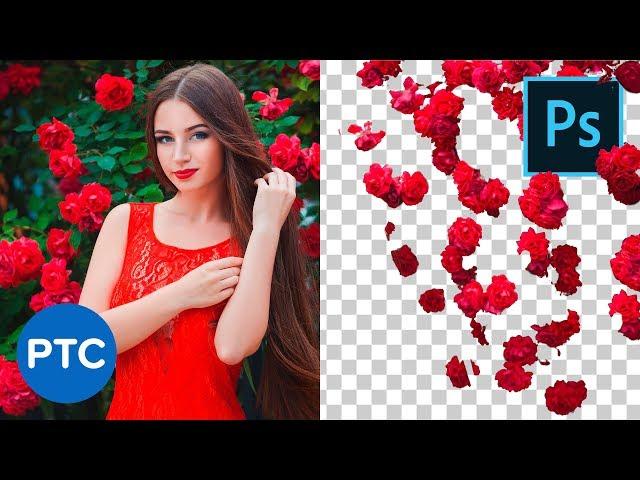 Better Cut Outs with This Color Range Photoshop Trick - 90-Second Tip #11