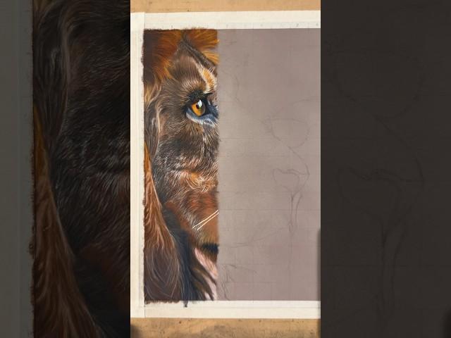 Work in progress on a color pastel drawing of a lion #colorpastel #lionart #clarity