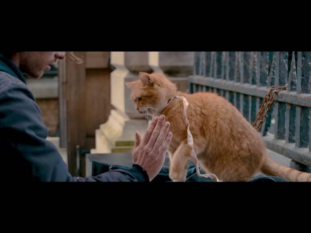 A Street Cat Named Bob - Official Trailer - Starring Luke Treadaway & Bob - At Cinemas November 4