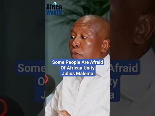 Some People Are Afraid Of African Unity | Julius Malema