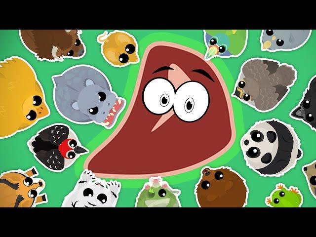 ONLY *MEAT* CHALLENGE in MOPE.IO