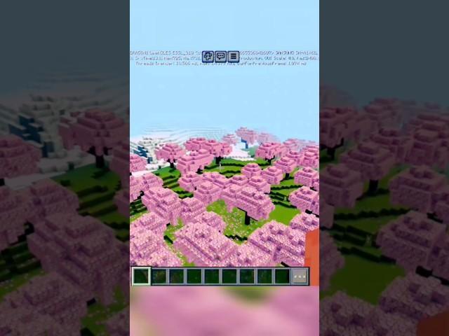 Minecraft Beauty. #shorts​ #viral​ #tiktok​ hacks #minecraft​ #hacks​ #viraltiktok​ hacks