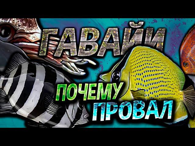 Почему Обновление ГАВАЙИ не повторило успеха Борнео в Русской Рыбалке 3?