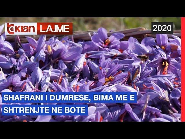 Shafrani i Dumrese, bima me e shtrenjte ne bote