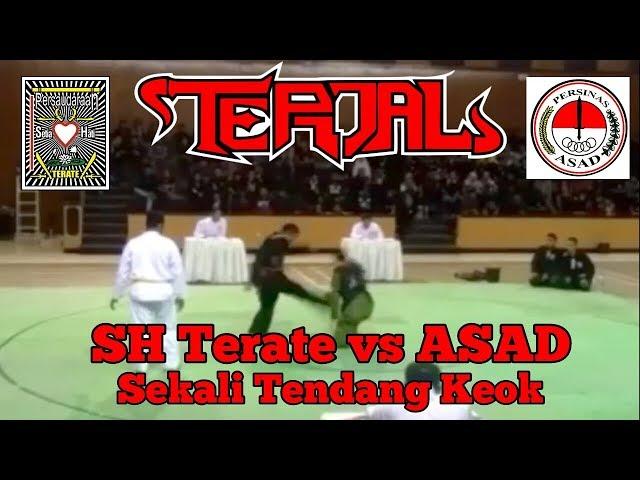 Haha Sekali Tendang Ko PSHT vs ASAD