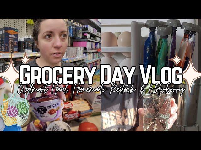 ️Checking my list off! | Large Family GROCERY HAUL | Homemade BABY FOOD | Growing ELDERBERRY