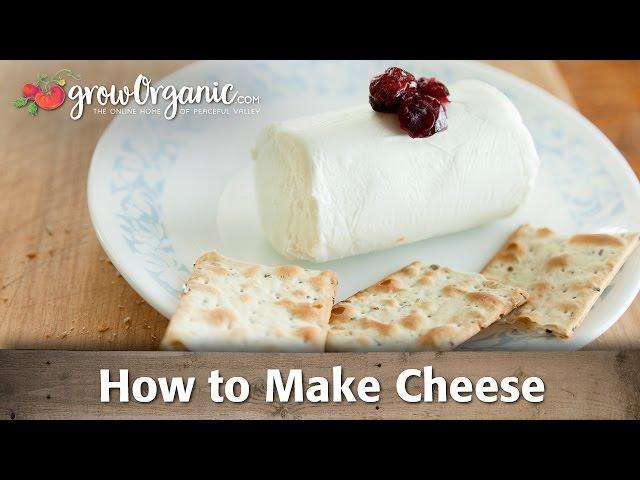 How to Make Organic Cheese at Home