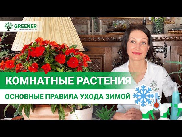 КОМНАТНЫЕ РАСТЕНИЯ ЗИМОЙ. Как ухаживать правильно?  Основные правила ухода!