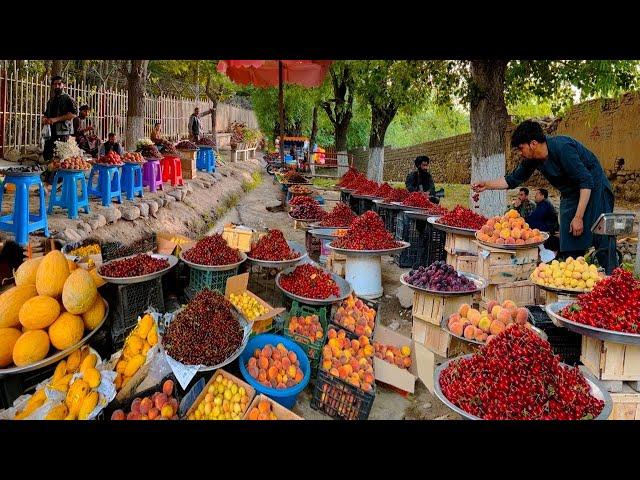 Kabul Paghman میوه های تازه پغمان، توت پغمان، میله در دره قشنگ پغمان، زیبایی ها پغمان وقرغه