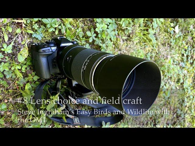 #8 Steve Ingraham’s Easy Birds and Wildlife with the OM Systems OM-1: lens choice and field craft