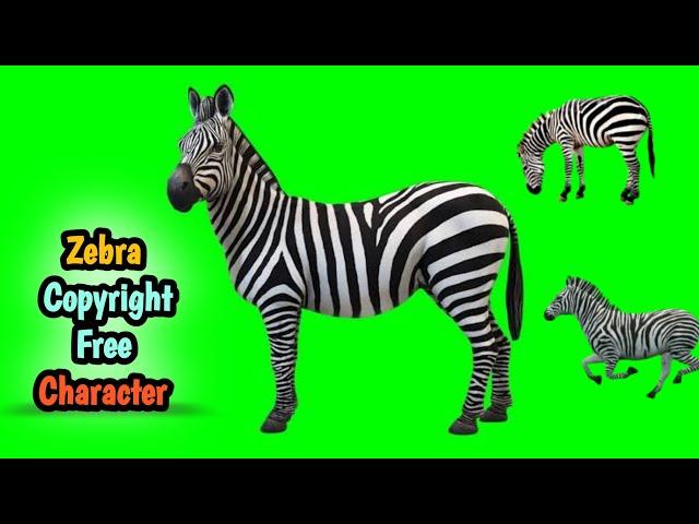 Zebra Green Screen Video No Copyright  / Pg 1 Tech / Zebra Carecter Pose / Zebra