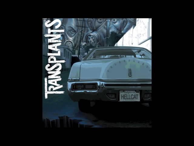 California Babylon - Transplants